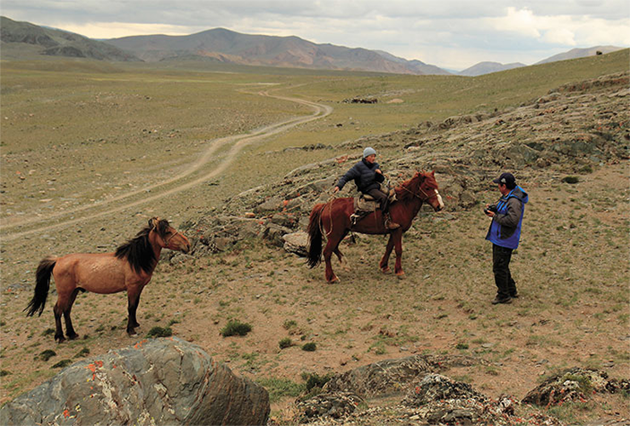 Животных часто сопровождают мальчишки на лошадях