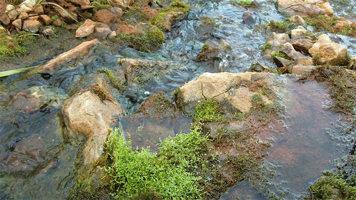 Термальные источники