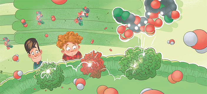 Бодрящий кислород: окончание 3