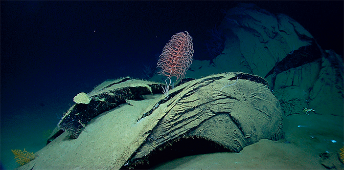 Остывший битумный вулкан