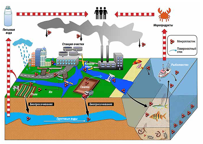 Микропластик столь вездесущ, что впору говорить о его круговороте в природе