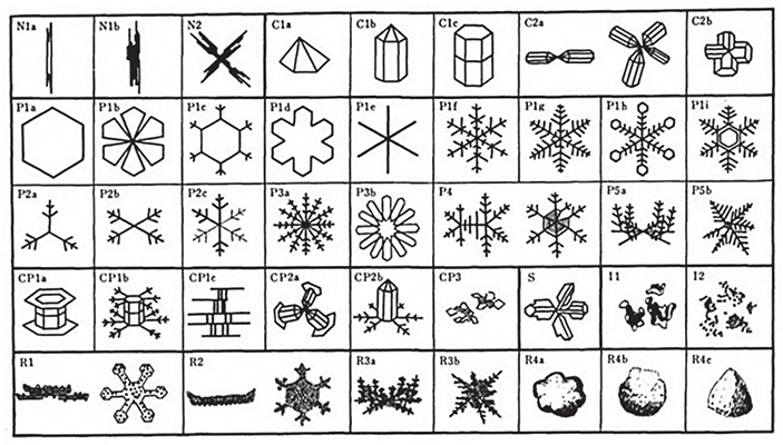Различные формы снежинок по Укихиро Накайe (1954)