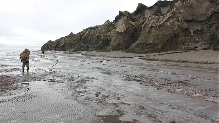 Почвенная нематода была найдена на Колыме и поэтому получила название Panagrolaimus kolymaensis