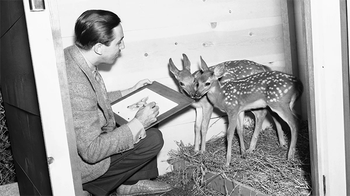 Дисней рисует Бемби с натуры