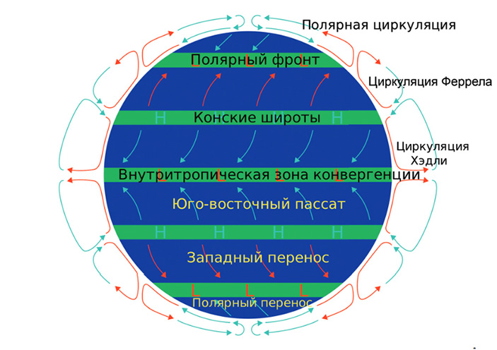 Перелётные птицы и океанские ветры 1