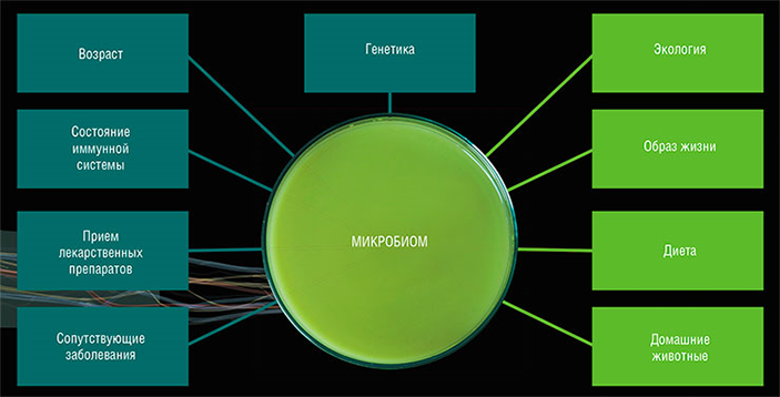 Одним из свойств условно здорового микробиома является его устойчивость