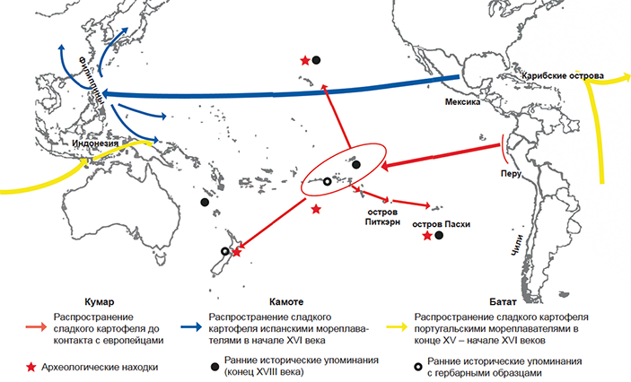 Схема распространения сладкого картофеля, исходя из названий