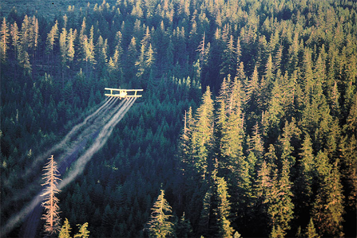 Опрыскивание леса инсектицидом на основе бактерии Bacillus thuringiensis