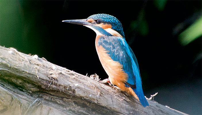 Фото: Наталья Рятова