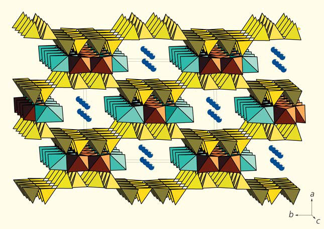 Рис. 1. Микропористая структура палысепиолов