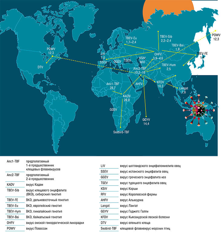 Вероятные пути распространения по планете флавивирусов — возбудителей клещевых инфекций