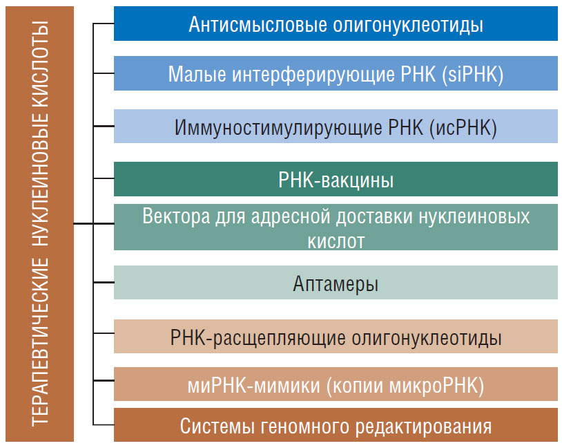 Терапевтические препараты, созданные на основе олигонуклеотидов