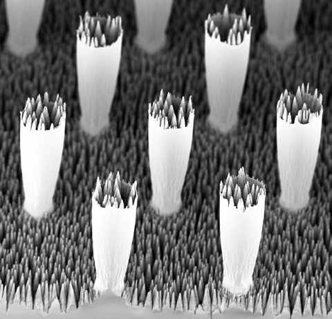 Фото 4. Колонны, возвышающиеся над обычным рельефом сверхгидрофобной поверхности, существенно снижают силу, которая противится движению капли