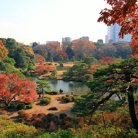 Про актеров