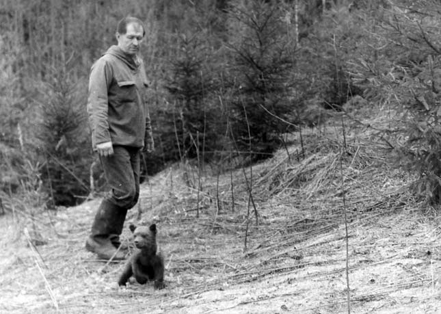 Заповедник, первый выход медведя в лес. Страшновато бедному!