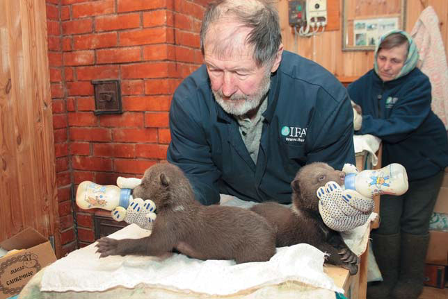 Не самые маленькие медведи — уже умеют сидеть, пить из бутылочки