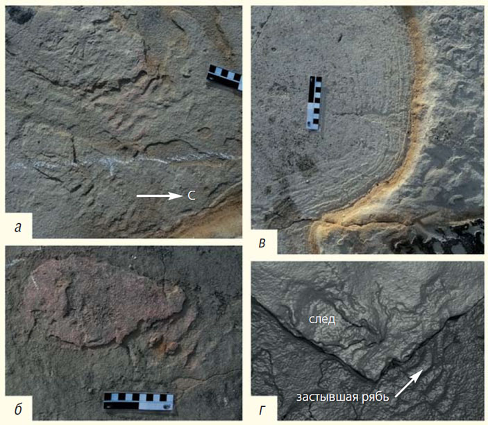 Отпечатки следов, обнаруженных Г. Герлински в Трахилосе