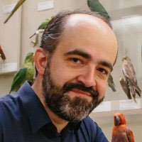 Павел Смирнов