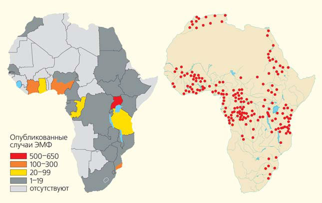 Рис. 11. Частота встречаемости эндемического заболевания ЭМФ и распространенность геофагии у человека в Африке