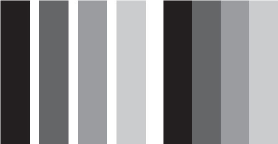 Рис. 1. Полосы Маха