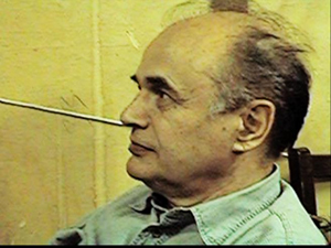 Зрение человека, животных и машин. Жизнь и работы Вадима Максимова