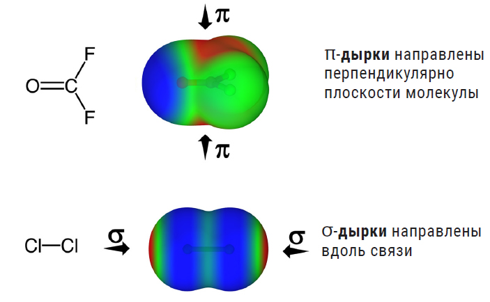 На рисунке сверху показано, как распределяется положительный электростатический потенциал (красная область) в молекуле карбонилдифторида O=CF2, а снизу — молекула хлора, где σ-дырки образуются вдоль связи Cl–Cl