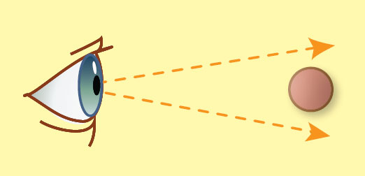 Когда предмет удаляется настолько, что попадает в промежуток между «опсисами», мы перестаём его видеть