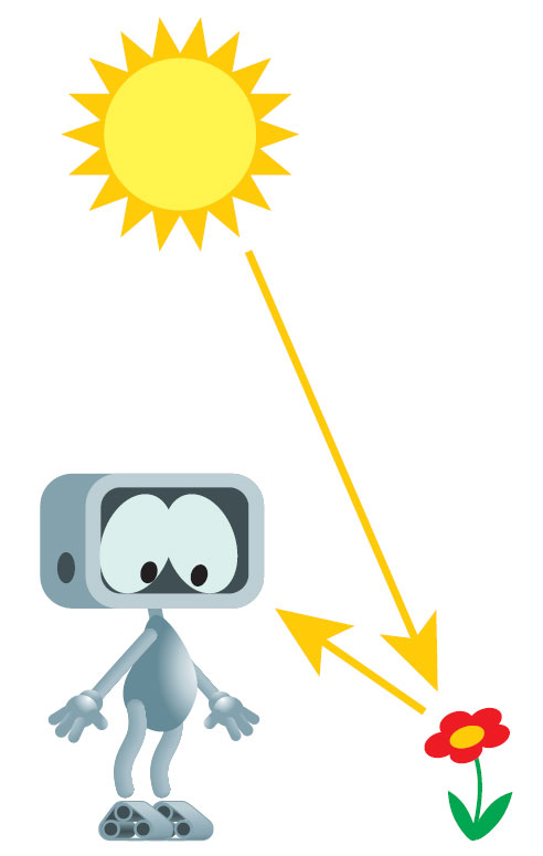 Мы видим только те предметы, лучи от которых отразились и попали к нам в глаз