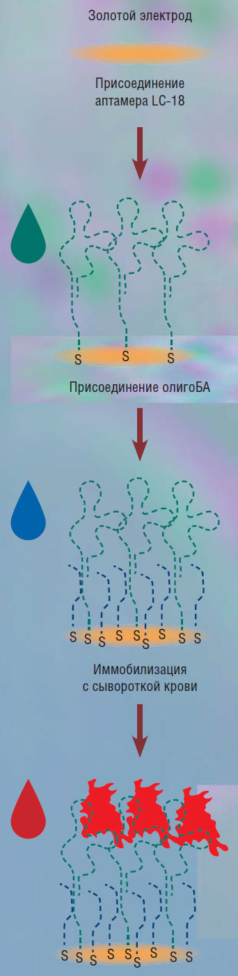 Принципиальная схема подготовки аптасенсора для определения опухолевых биомаркеров в крови