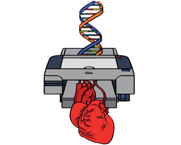 Биопринтер