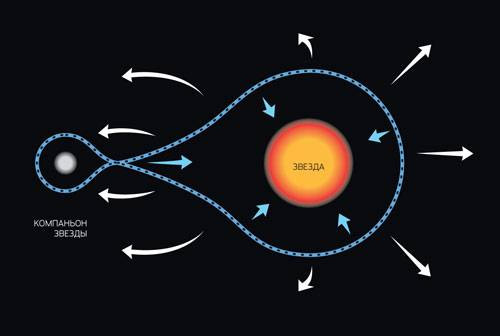 Полости Роша. Полости Роша разграничивают области гравитационного влияния каждого из компаньонов в двойной звездной системе. Все, что находится внутри соответствующей полости, может обращаться только вокруг «своей» звезды. Перетекать из одной полости в другую вещество может только через «горловину», соединяющую полости. Изображение: «Популярная механика»
