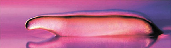 Ползущий слизевик (журнал Nature)