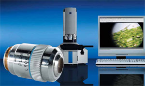 Изображение «Экология и жизнь»