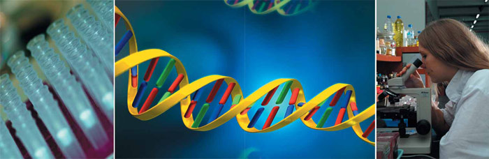 Изображение «Экология и жизнь»