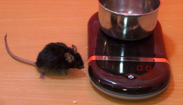 После возвращения самочувствие маленького космонавта неважное