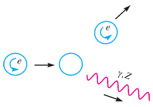 Неизменность проекции спина электрона при испускании фотона или Z-бозона