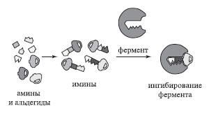 Рис. 12. Схема методики Жан-Мари Лена. Фермент («замок») сам подбирает себе нужный «ключ»
