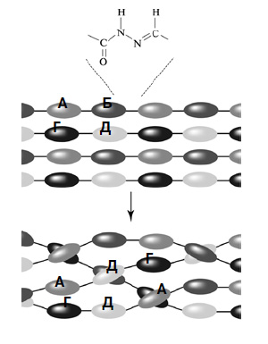 Рис. 15. Взаимопересечение полимерных цепей при комбинаторной модификации