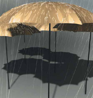 Изображение: «Экология и жизнь»