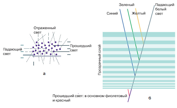 Рис. 5. Различные виды структурной окраски: а — отражение белого света маленькими частицами (черные шарики). Если частицы меньше 575 нм в диаметре, то отражаться будут лучи синего цвета, а проходить будут лучи красного цвета. Если частицы больше, то все отраженные лучи будут иметь близкую длину волны, и они сформируют белый цвет; б — крыло жука-бронзовки — многослойный рефлектор. Оно вспыхивает радужными искрами, потому что под разным углом зрения мы видим отражения разных длин волн. Изображение: «Химия и жизнь»
