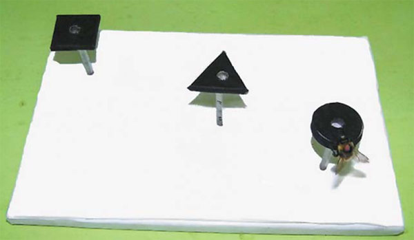 Шмель, который предпочел круг. Среди шмелей, появившихся на свет в лабораторном гнезде, одни стабильно выбирают треугольные, а другие — круглые искусственные цветы, используемые в опытах. Фото А. В. Черненко, «Природа»