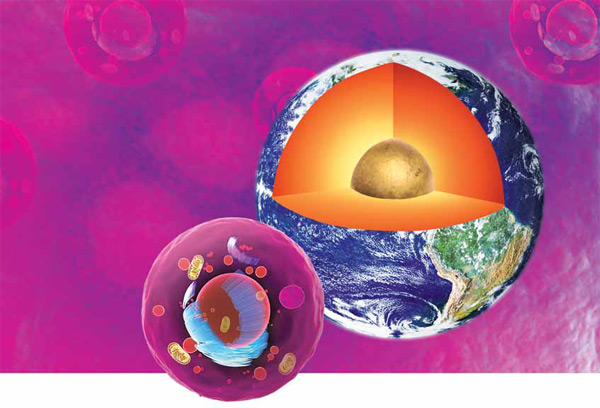 Изображение: «Экология и жизнь»