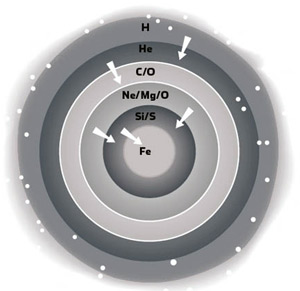 Звезда в разрезе. Ядро «догоревшей» звезды состоит из железа (дальше ядерный синтез возможен только с поглощением энергии). Вокруг ядра находятся оболочки из кремния, неона, кислорода, углерода. Внешние слои состоят из гелия и водорода. Изображение: «Популярная механика»
