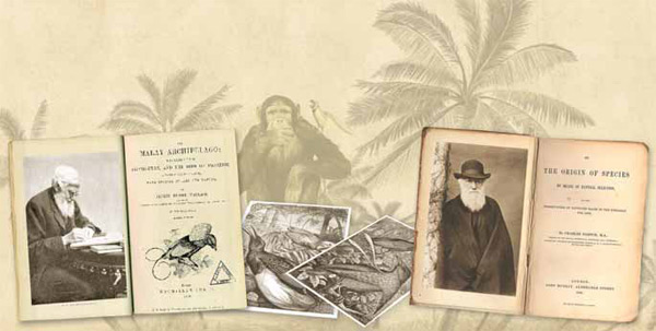 Изображение «Экология и жизнь»