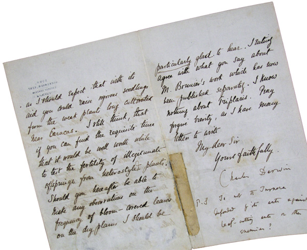 Автограф Чарлза Дарвина — письмо немецкому ботанику доктору Эрнсту, всю жизнь прожившему в Южной Америке (4 апреля 1880 г.). Государственный Дарвиновский музей, Москва