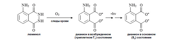 Рис. 6. Молекула люминола в присутствии гема окисляется кислородом воздуха с испусканием света. Изображение: «Химия и жизнь»