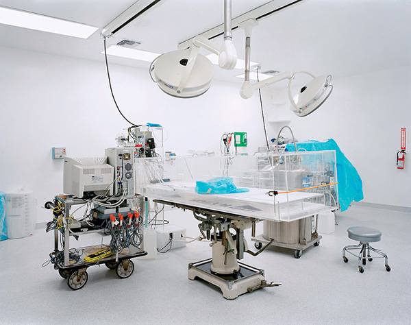 Единственный шанс на бессмертие