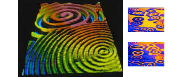 Рис. 4. Так с помощью метода РЕЕМ можно проследить за изменением рельефа поверхности платины в ходе реакции СО + O2. Темные области соответствуют высокой концентрации СО, светлые — избытку O2. Изображение: «Химия и жизнь»