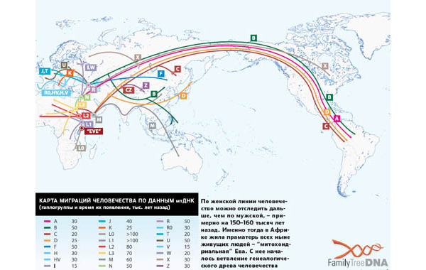 Карта миграций человечества по данным мтДНК. Изображение: «Популярная механика»
