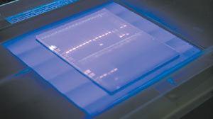 Для определения активности ферментов используют различные биохимические методы, в том числе гель-электрофорез (изображение: «Наука и жизнь»)